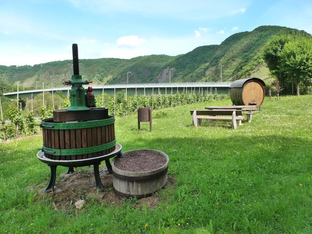 Ferienwohnungen Am Bruttiger Moselsteig Habitación foto
